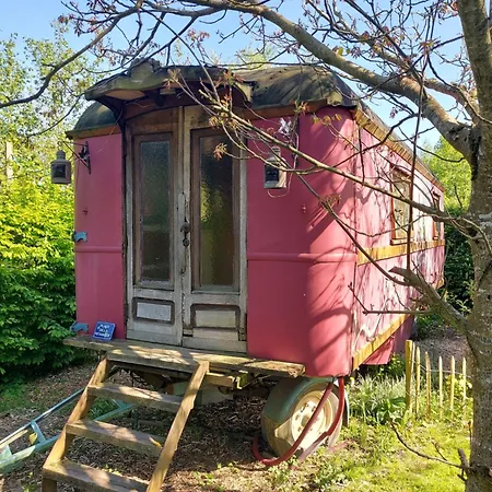 Jardin Reveur La Roulotte Des Baladins